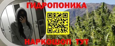 круглые Тара