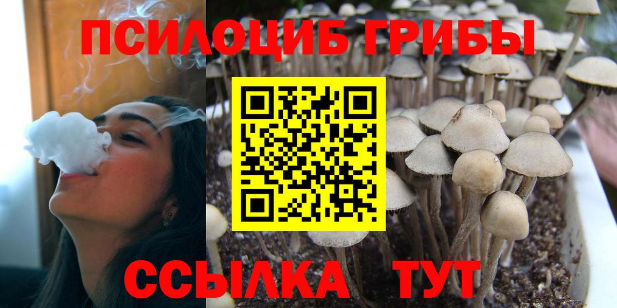 Псилоцибиновые грибы ЛСД Алексин